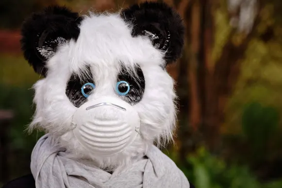 Casino Cyber Bingo Supporto